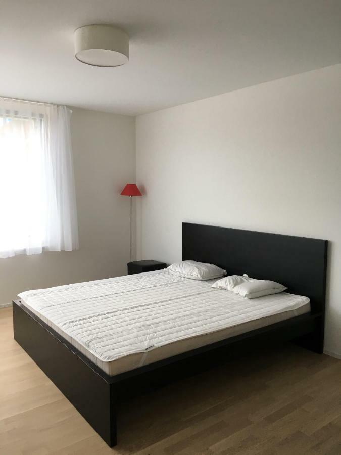 Close To Zuerich Centre And Airport Kloten Exterior photo